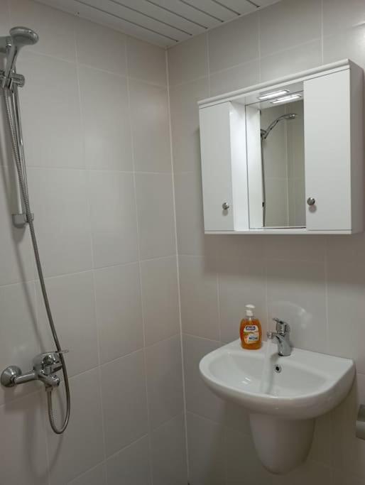 Gradina Apartment モンタナ エクステリア 写真